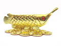 feng shui lekovi