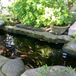 Feng shui bašta, vrt i fontana-VIDEO