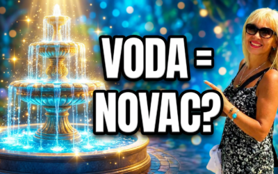 Singapurska TAJNA NOVCA